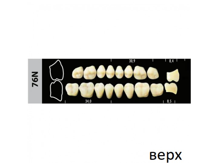 Зубы Super Lux 76N жевательный верх, 8 шт.