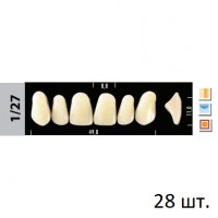 Зубы Super Lux 1/27 полный гарнитур, 28 шт.