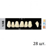 Зубы Super Lux 1/48 полный гарнитур, 28 шт.