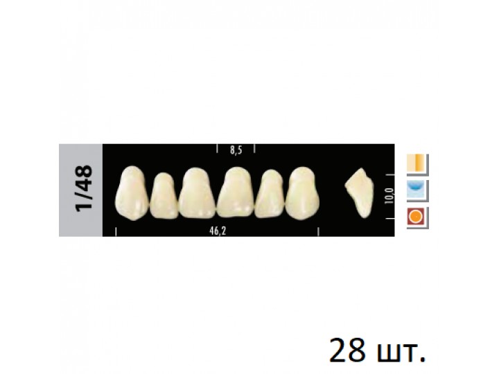 Зубы Super Lux 1/48 полный гарнитур, 28 шт.