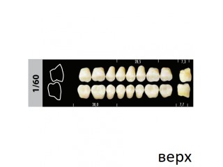 Зубы Super Lux 1/60 жевательный верх, 8 шт.