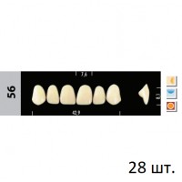 Зубы Super Lux 56 полный гарнитур, 28 шт.
