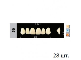 Зубы Super Lux 56 полный гарнитур, 28 шт.