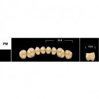 Зубы Tribos PM боковые верхние