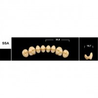 Зубы Tribos SSA боковые верхние