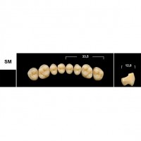 Зубы Tribos SM боковые верхние