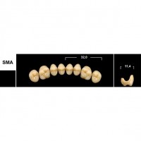 Зубы Tribos SMA боковые верхние