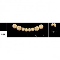 Зубы Tribos SSA боковые нижние
