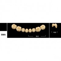 Зубы Tribos SMA боковые нижние
