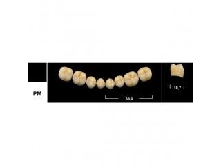 Зубы Tribos PM боковые нижние