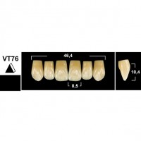 Зубы Tribos VT76 фронтальные верхние
