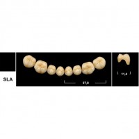 Зубы Tribos SLA боковые нижние