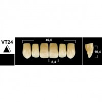 Зубы Tribos VT24 фронтальные верхние