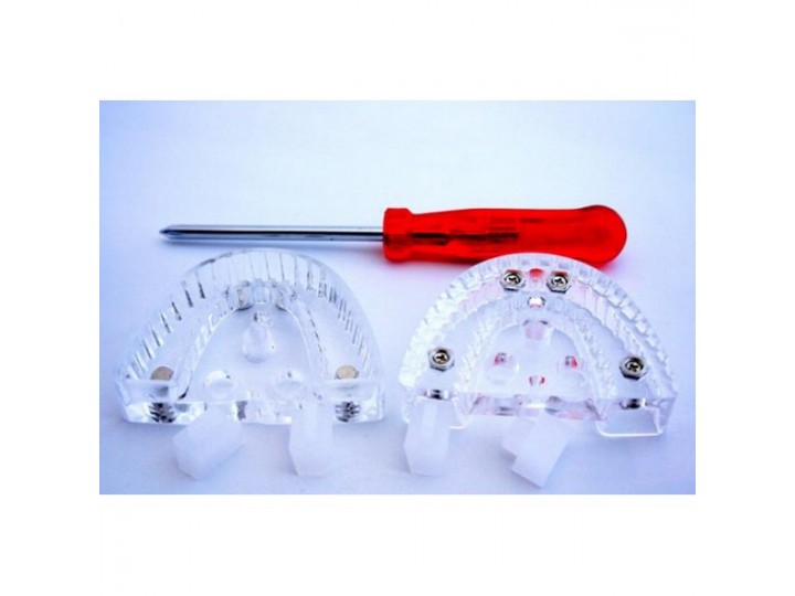 Рамка для разборной модели Die Lock Tray для артикулятора Spacy, (2шт./уп.)