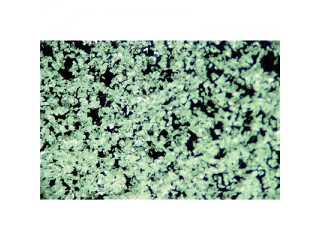 Песок COBRA 25 мкм 5 кг Renfert